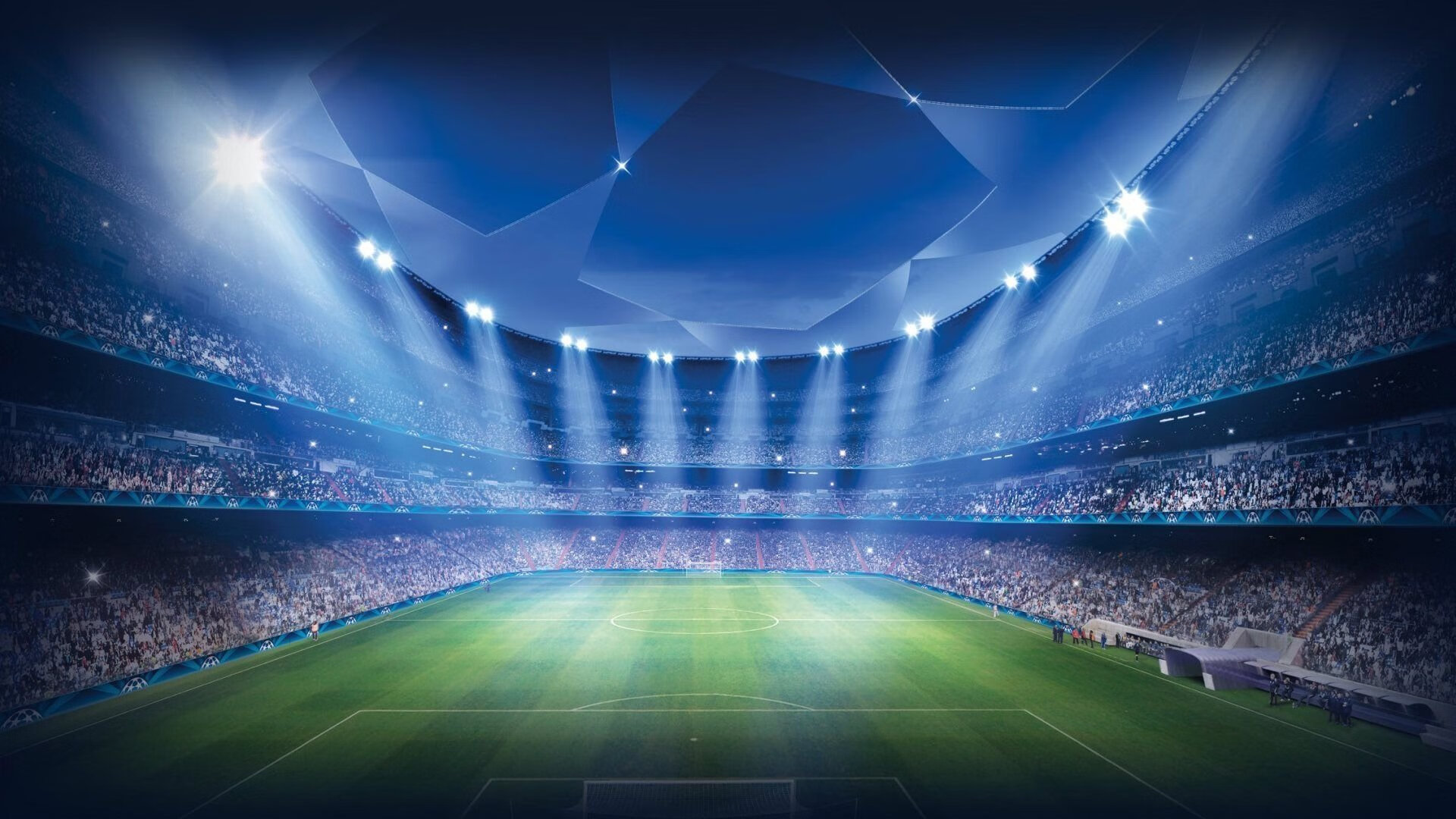 世界游泳俱乐部联合举办城市泳池开放日,世界游泳馆